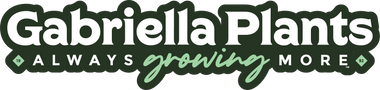 Gabriella Plants