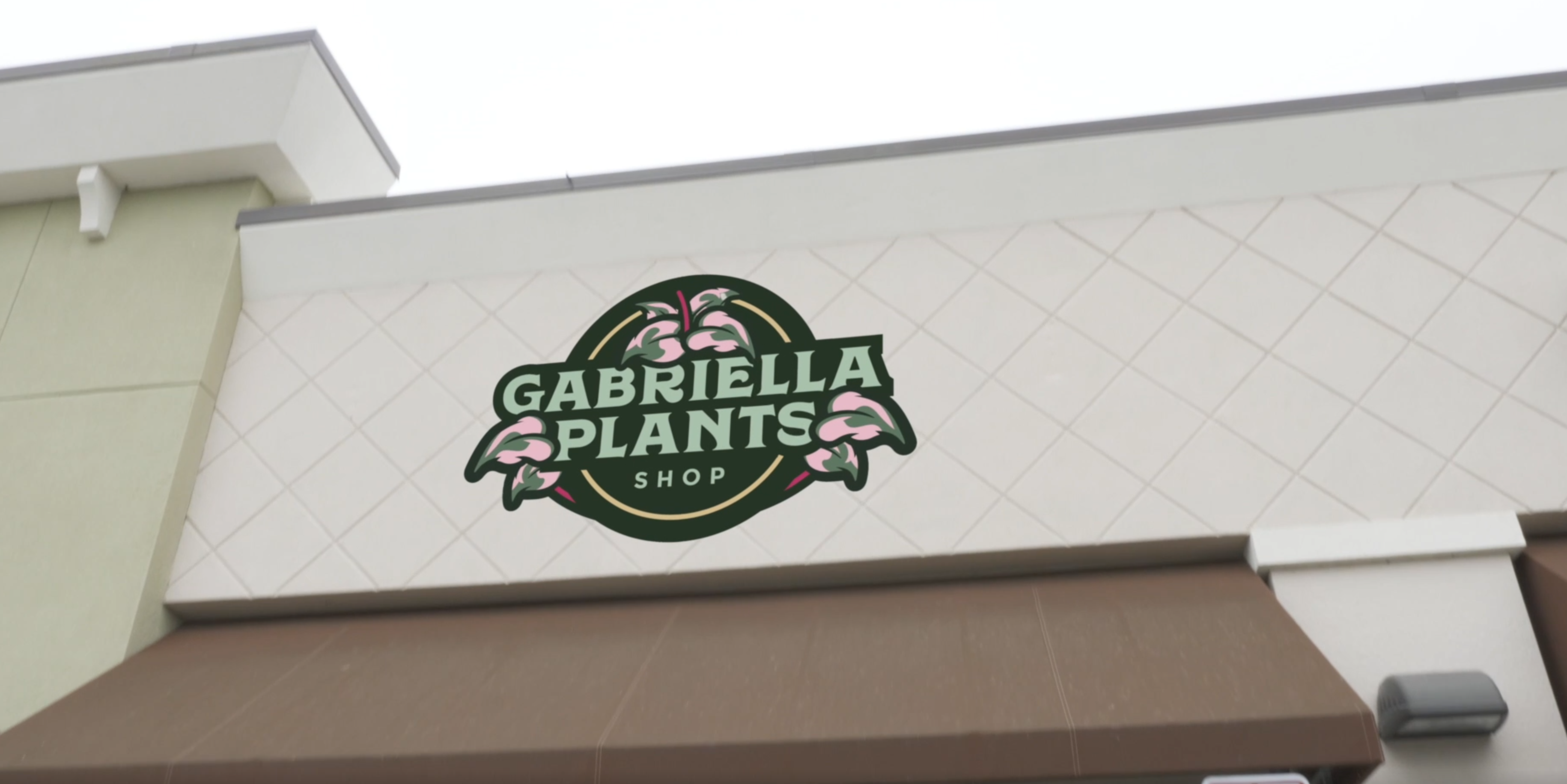 Coming Soon: Gabriella Plants Shop