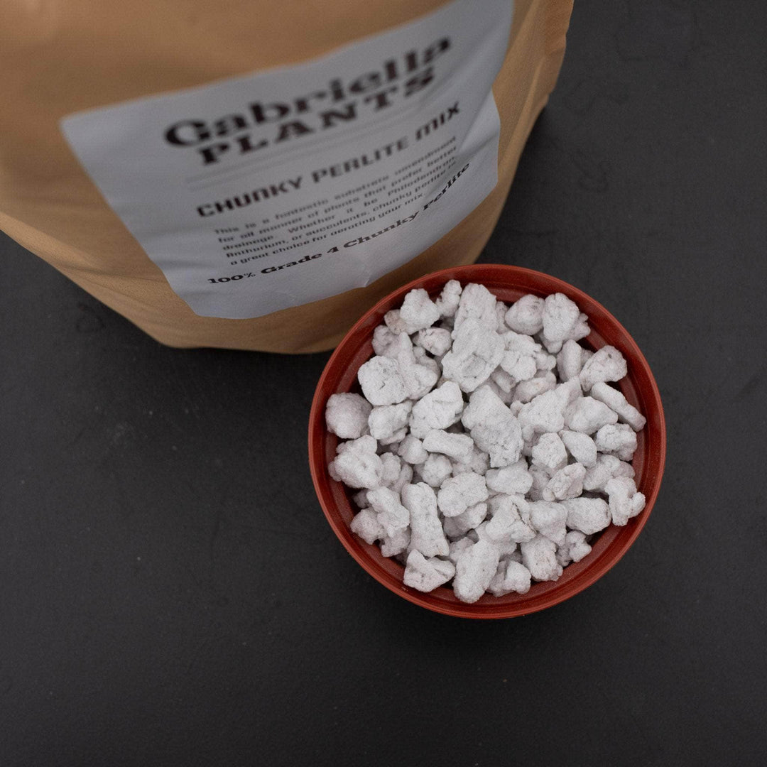 perlite for succulents GP Chunky Perlite