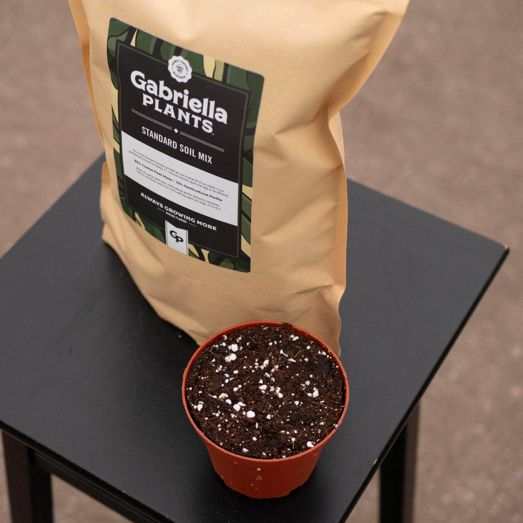 GP Standard Substrate Mix - Gabriella Plants