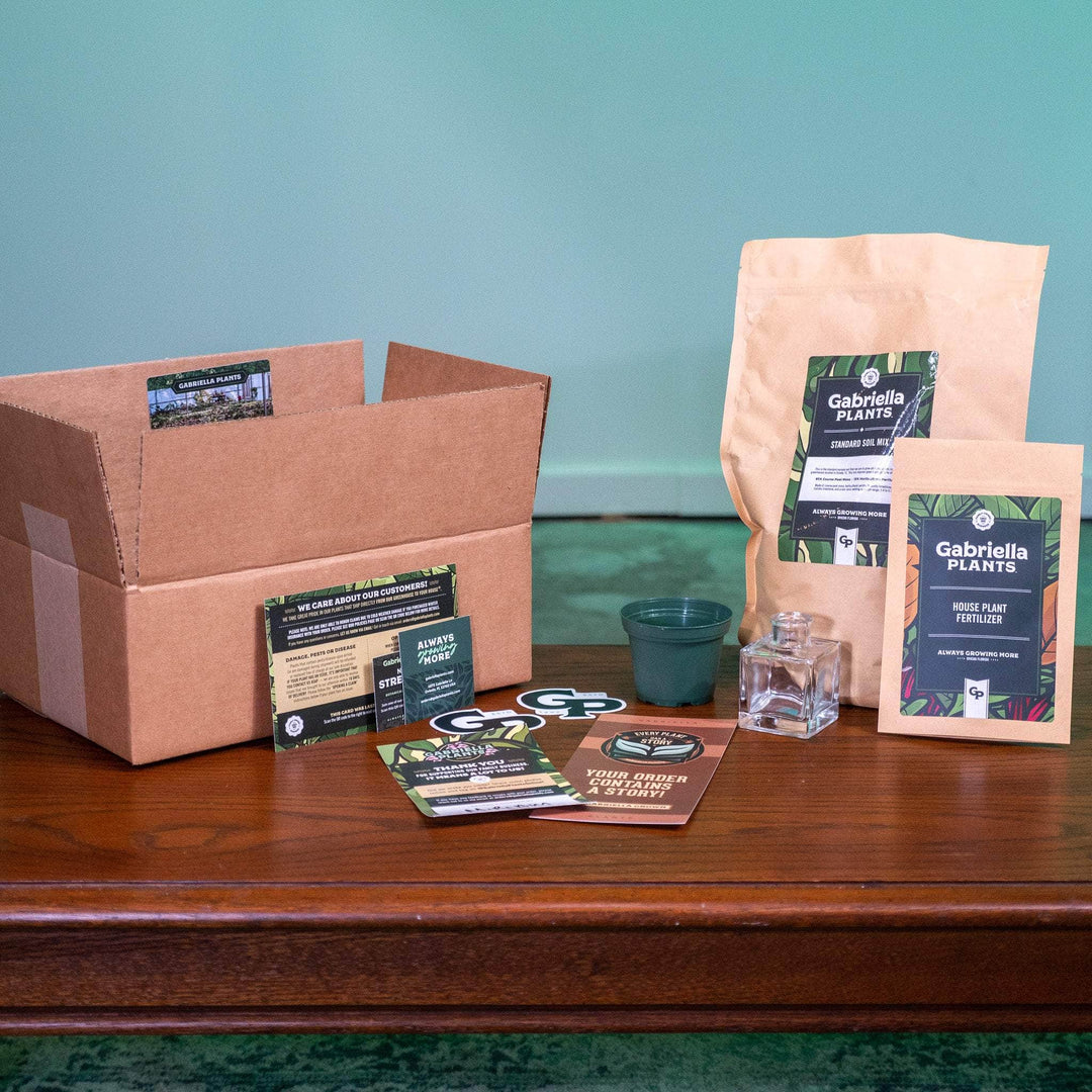 indoor plant propagation kit Propagation Starter Kit