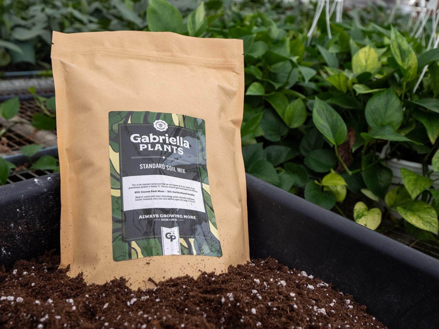 standard potting mix GP Standard Substrate Mix