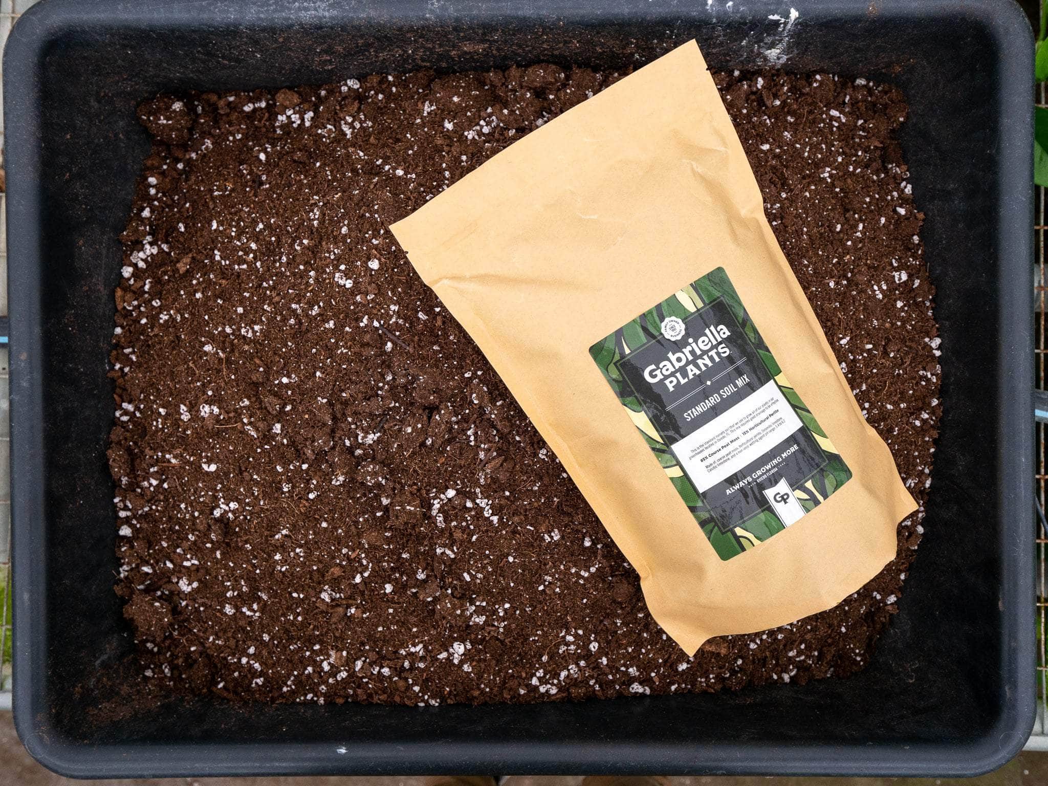 Gabriella Plants Add On GP Standard Soil Mix