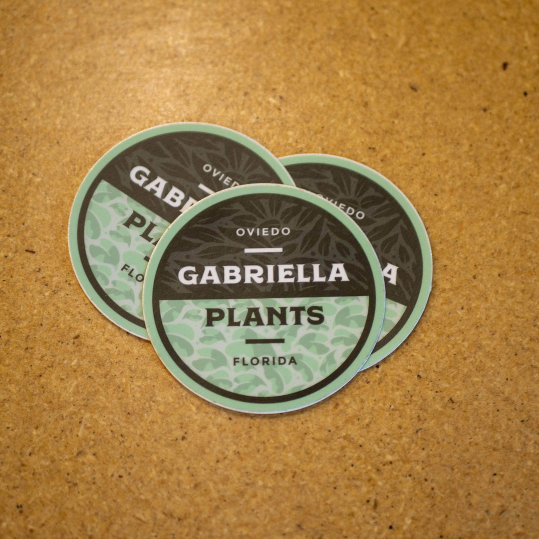 Gabriella Plants Merch Sticker - Patch