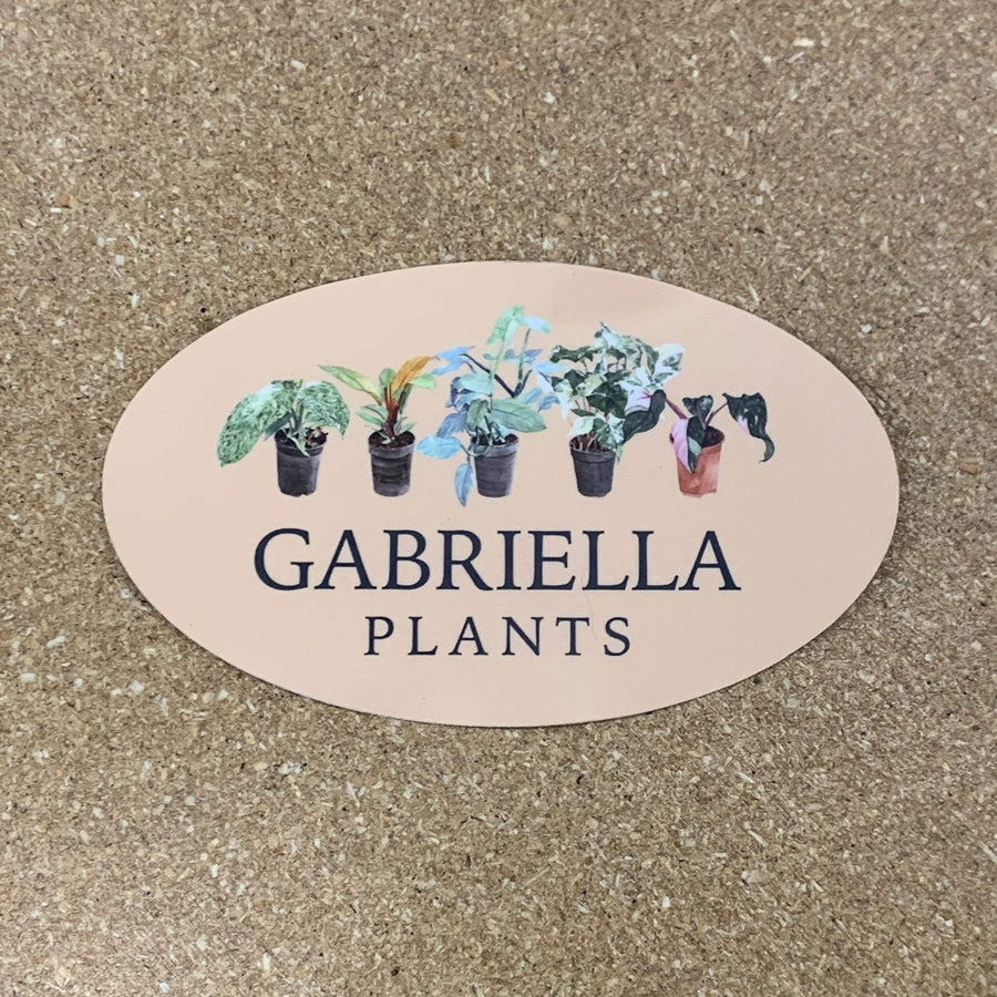 Sticker - Watercolor Logo – Gabriella Plants
