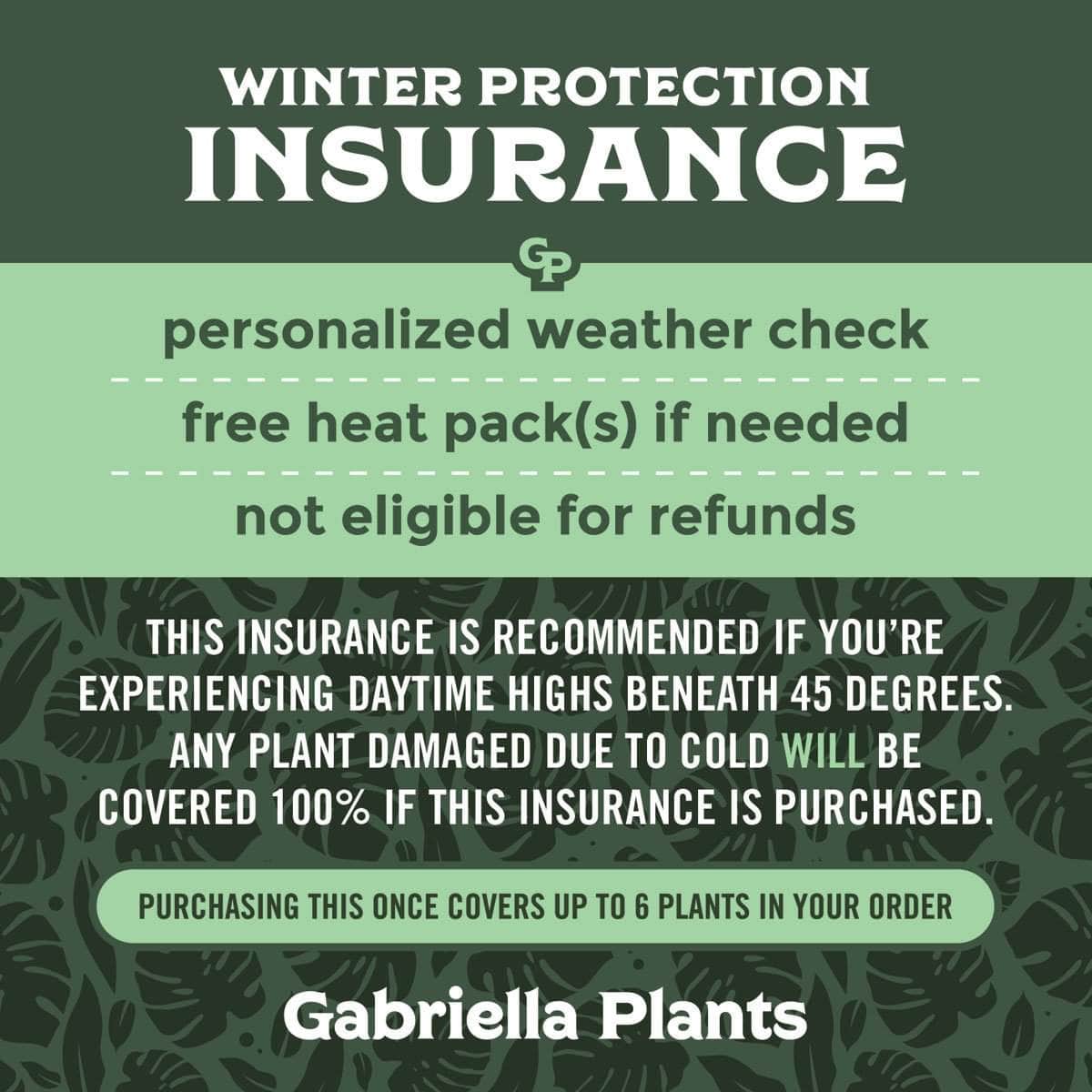 Gabriella Plants Insurance Winter Protection Insurance